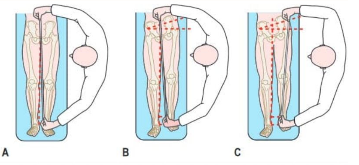 Cách đo chiều dài chân