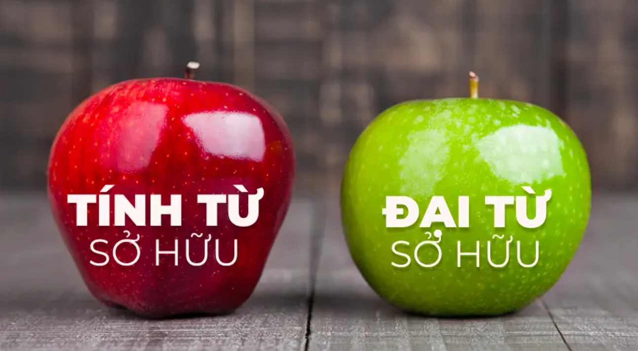 đại từ sở hữu và tính từ sở hữu